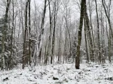 94 Acres Peter White, Deerton, MI 49822 photo 22
