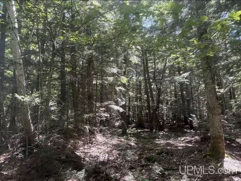 94 Acres Peter White, Deerton, MI 49822 photo 6
