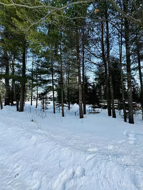 4 Forge, Negaunee, MI 49866