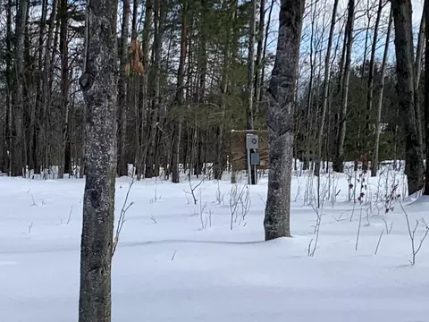 6243 Lambert, Alanson, MI 49706 photo 8