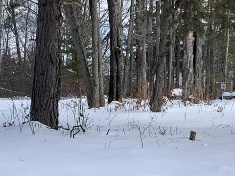 6243 Lambert, Alanson, MI 49706 photo 6