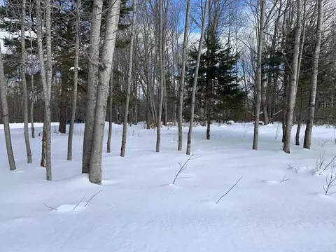 6243 Lambert, Alanson, MI 49706 photo 5