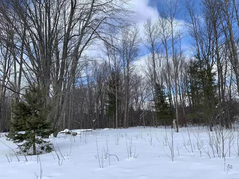6243 Lambert, Alanson, MI 49706 photo 4