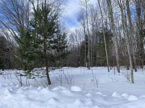 6243 Lambert, Alanson, MI 49706 photo 2