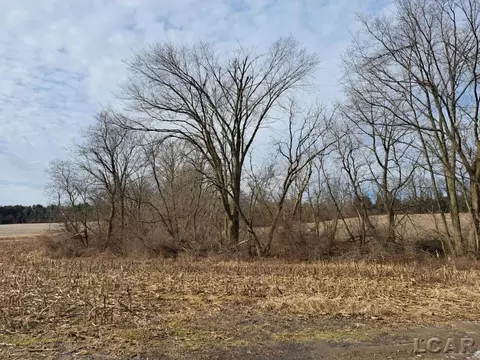 6000 Centennial, Tecumseh, MI 49286 photo 19