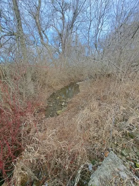 6000 Centennial, Tecumseh, MI 49286 photo 6