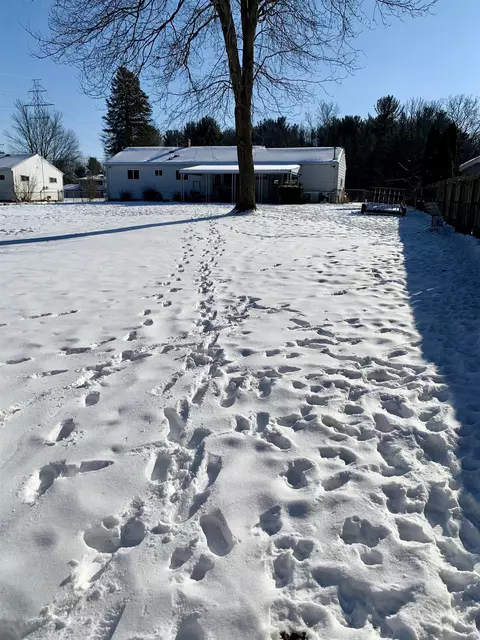 4105 E Stanley, Mount Morris, MI 48458 photo 32