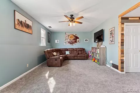 3219 Birch Run W, Adrian, MI 49221 photo 21