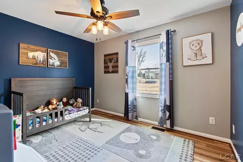 3219 Birch Run W, Adrian, MI 49221 photo 27