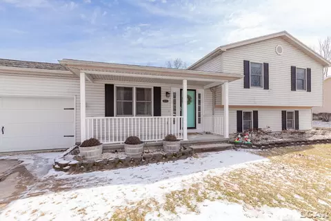 3219 Birch Run W, Adrian, MI 49221 photo 35