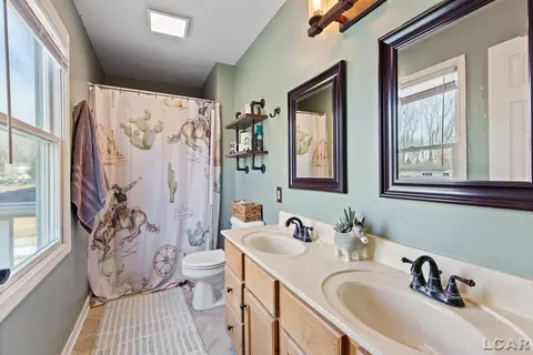 3219 Birch Run W, Adrian, MI 49221 photo 33