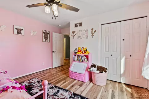 3219 Birch Run W, Adrian, MI 49221 photo 30