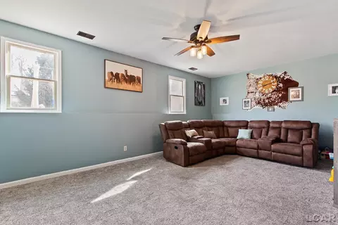 3219 Birch Run W, Adrian, MI 49221 photo 19