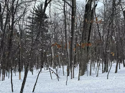 tbd 4e Senter, Dollar Bay, MI 49922 photo 11