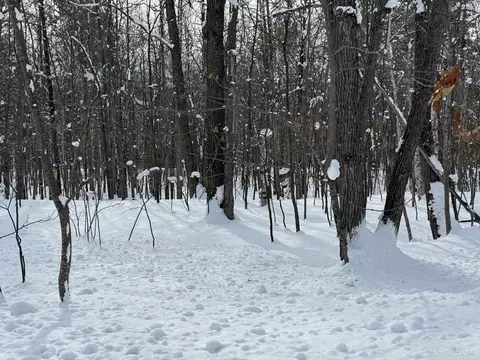 tbd 4e Senter, Dollar Bay, MI 49922 photo 8