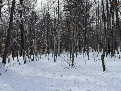 tbd 4e Senter, Dollar Bay, MI 49922 photo 6