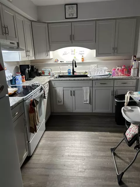 612 River, Owosso, MI 48867 photo 2