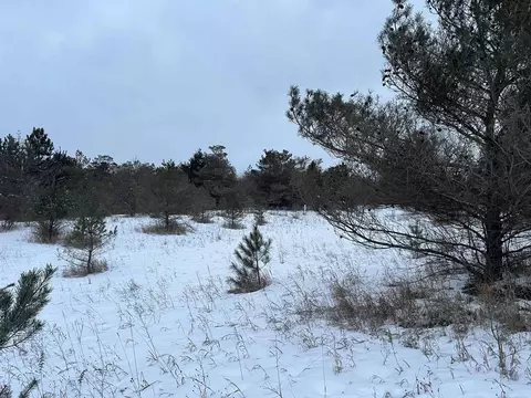 Goodrich, Herron, MI 49744 photo 5