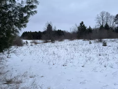 Goodrich, Herron, MI 49744 photo 2