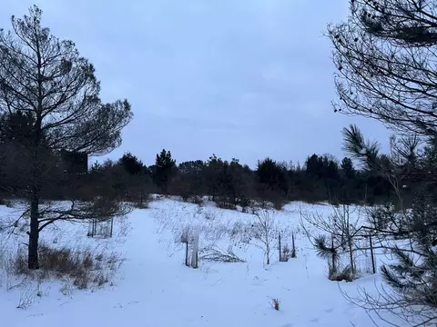 Goodrich, Herron, MI 49744 photo 16