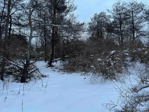 Goodrich, Herron, MI 49744 photo 13