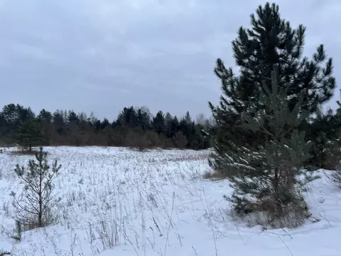 Goodrich, Herron, MI 49744 photo 3