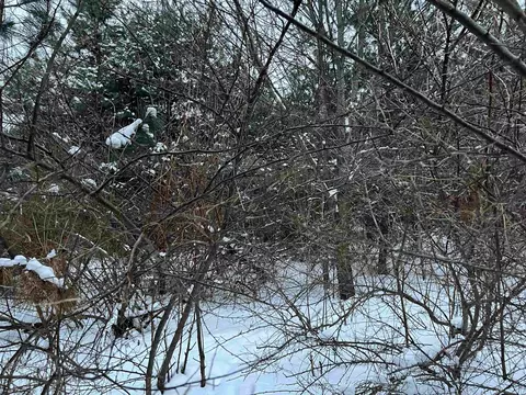 Goodrich, Herron, MI 49744 photo 8