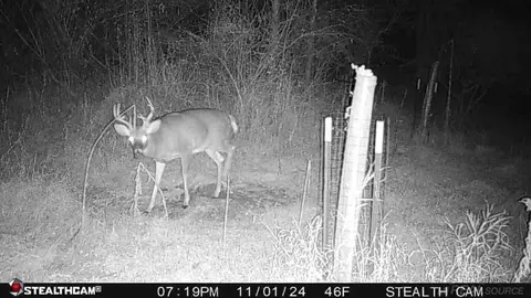 Goodrich, Herron, MI 49744 photo 17