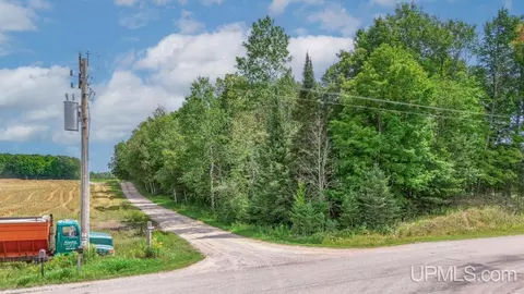 20 Acres At Tbd I, Cornell, MI 49818