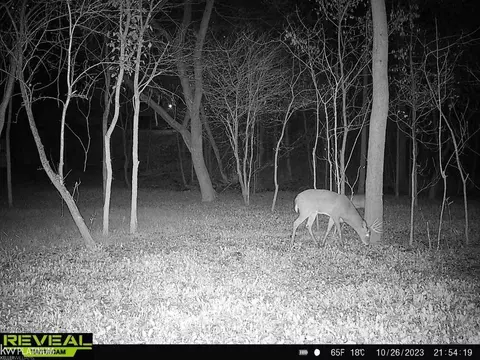 Other - 1526 S Bartlett, Saint Clair, MI 48079 photo 9 of 11