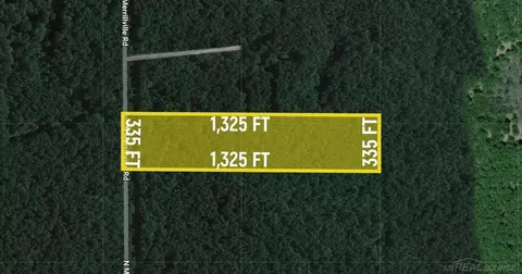 1414 N Merrillville, Baldwin, MI 49304