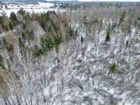 tbd 8th, Bark River, MI 49807 photo 5