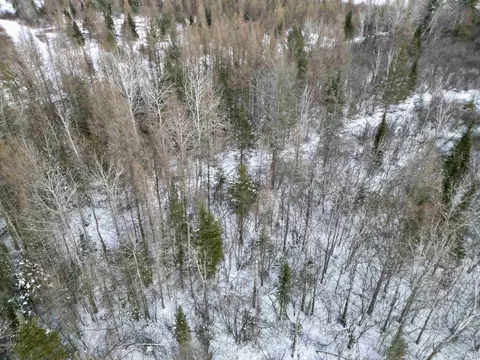 tbd 8th, Bark River, MI 49807 photo 6
