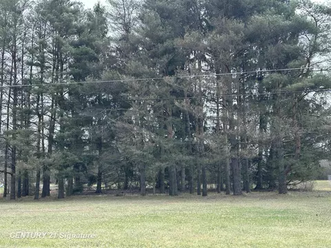 5386 S Johnson, Flushing, MI 48433 photo 2