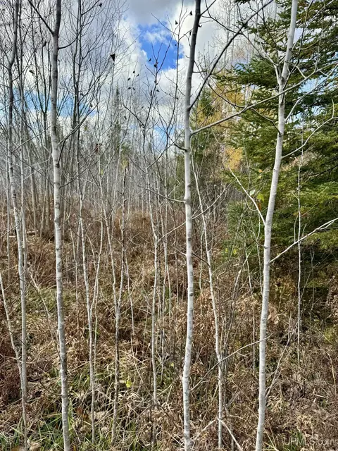 tbd Off Cr503, Rapid River, MI 49878