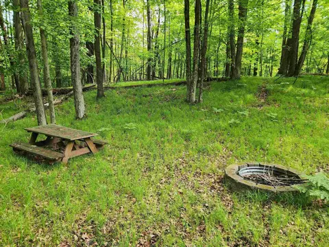 lot960 Clover, Farwell, MI 48622