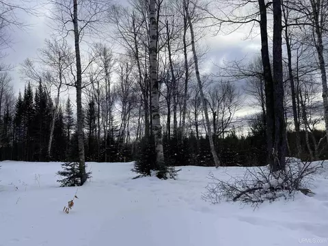 12237 33rd, Rapid River, MI 49878 photo 37