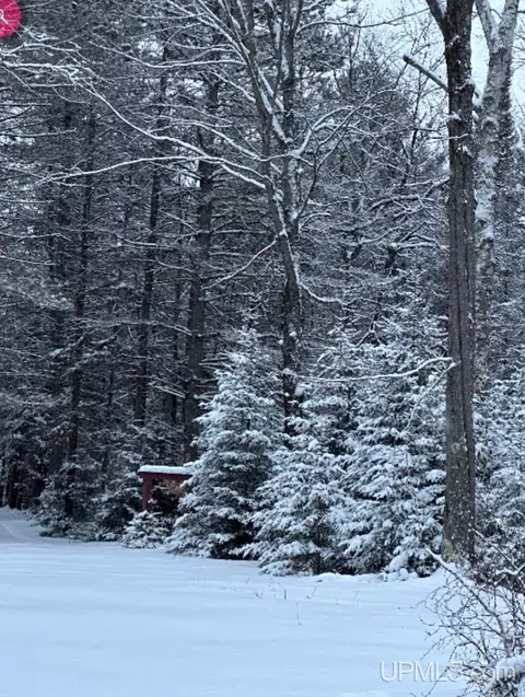 12237 33rd, Rapid River, MI 49878 photo 40