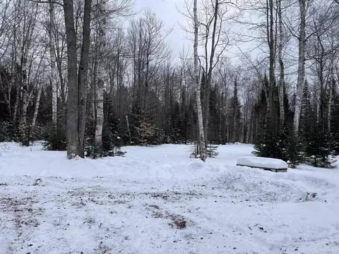12237 33rd, Rapid River, MI 49878 photo 33