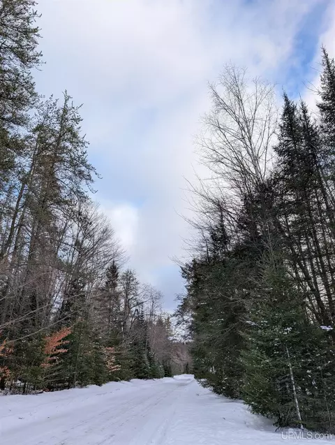 12237 33rd, Rapid River, MI 49878 photo 23
