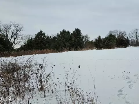 3877 Upton, Ovid, MI 48866