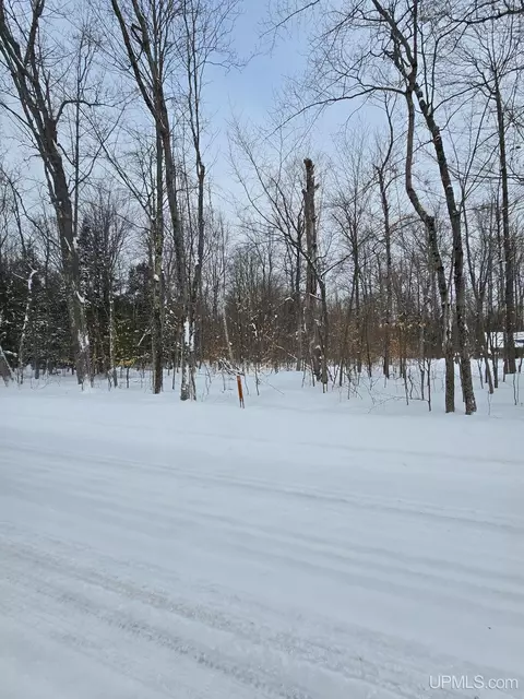 60 Acres Off Edge, Germfask, MI 49836