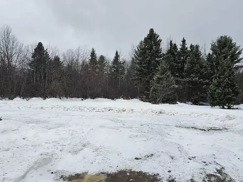Exterior - 168 Saginaw, Ishpeming, MI 49849 photo 11 of 11