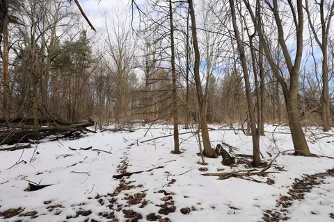 3072 Field, Clio, MI 48420 photo 33