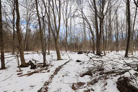 3072 Field, Clio, MI 48420 photo 34