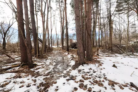 3072 Field, Clio, MI 48420 photo 36
