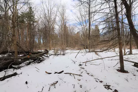 3072 Field, Clio, MI 48420 photo 37