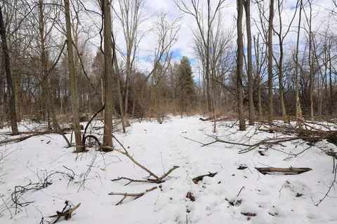 3072 Field, Clio, MI 48420 photo 35