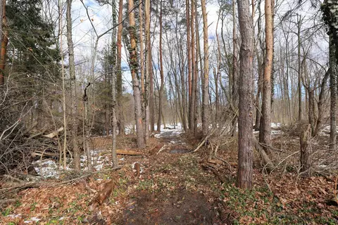 3072 Field, Clio, MI 48420 photo 32
