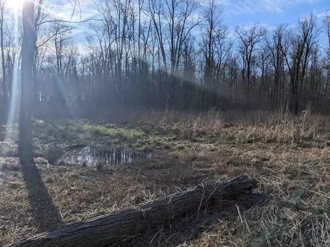 17540 Irwin, Armada, MI 48005 photo 3